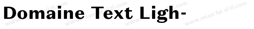 Domaine Text Ligh字体转换
